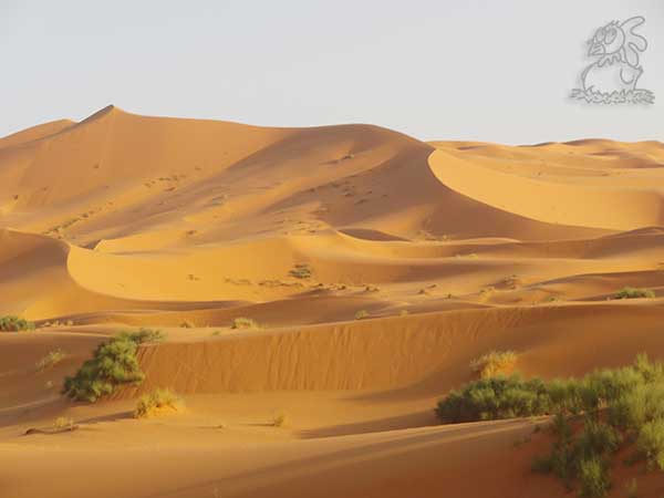 Il deserto